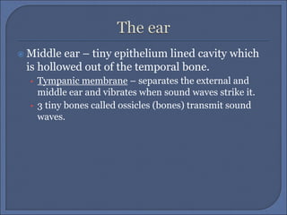  Middle ear – tiny epithelium lined cavity which
is hollowed out of the temporal bone.
• Tympanic membrane – separates the external and
middle ear and vibrates when sound waves strike it.
• 3 tiny bones called ossicles (bones) transmit sound
waves.
 