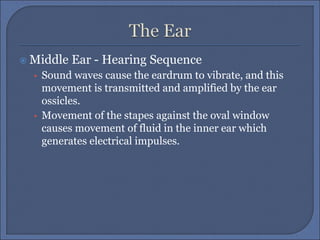  Middle Ear - Hearing Sequence
• Sound waves cause the eardrum to vibrate, and this
movement is transmitted and amplified by the ear
ossicles.
• Movement of the stapes against the oval window
causes movement of fluid in the inner ear which
generates electrical impulses.
 