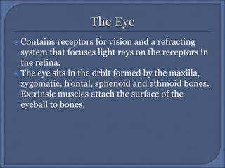  Contains receptors for vision and a refracting
system that focuses light rays on the receptors in
the retina.
 The eye sits in the orbit formed by the maxilla,
zygomatic, frontal, sphenoid and ethmoid bones.
Extrinsic muscles attach the surface of the
eyeball to bones.
 