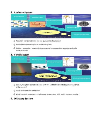 The sensory processing | DOCX
