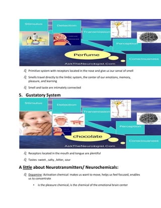 The sensory processing | DOCX