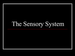 The Sensory System 