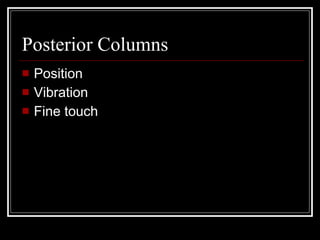 Posterior Columns Position Vibration Fine touch 