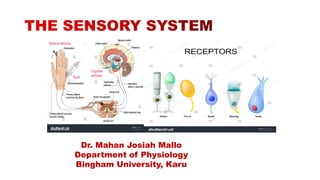 Physiology of the sensory system and pain. pdf | PDF