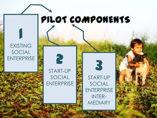 PILOT INDICATORS
inputs

outputs

# of training
resources

# of social
entrepreneurs &
community
members trained

# of are...
