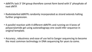 • ddNTPs lack 3’ OH group therefore cannot form bond with 5’ phosphate of
next dNTP.
• Radiolabelled ddNTPs randomly incorporated as strand extends halting
further progression.
• 4 parallel reaction with 4 different ddNTPs and running on 4 lanes of
polyacrylamide gel using autoradiograpy one could infer sequence in
original template.
• Accuracy , robustness and ease of use led to Sanger sequencing to become
the most common technology in DNA sequencing for years to come.
 