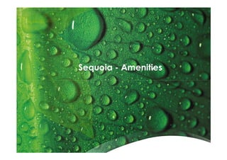 Sequoia - Amenities
 