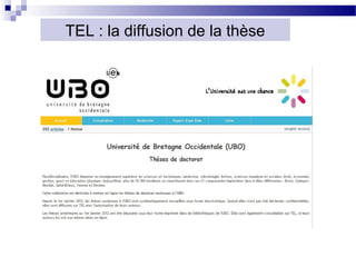 TEL : la diffusion de la thèse
 