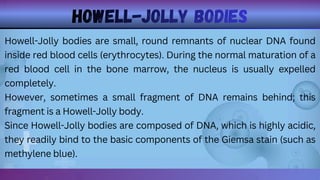 Normal Howell GIEMSA STAIN PRESENTATION MADE BY ALI HASSAN | PDF