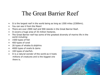 The Great Barrier Reef
•   It is the largest reef in the world being as long as 1300 miles (2300km).
•   You can see it fr...