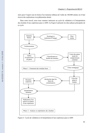 Chapitre 2 - Proposition de MEAT


                                       alors pour l’expert sous la forme d’un immense tableau de l’ordre de 100.000 entrées où il faut
                                       trouver des explications à un phénomène donné.
                                          Dans notre travail, nous nous sommes intéressés au cycle de validation et d’interprétation
                                       des résultats d’une expérience puce à ADN. La Figure 6 présente les deux phases principales de
                                       ce cycle.




                                                   Données                           Scannage et                      Puce
                                                    filtrées                    traitement d’images                  traitée




                                                Uniformisation
tel-00328114, version 1 - 9 Oct 2008




                                                                                                                     Listes des gènes
                                                    Tables                                                               ayant un
                                                                                    Classification et
                                                 d’expressions                                                        comportement
                                                                                  fouille des données
                                                   de gènes                                                              commun



                                                                                                                  Choix stratégique
                                              Phase 1 : Traitement des résultats bruts




                                                                                Recherche dans les                      Liste des
                                                  Résultats                                                             gènes à
                                                  explicites                        bases de
                                                                                  connaissances                          étudier




                                                Interprétation
                                                   humaine



                                              Publication d’un
                                              article ou relance
                                              d’une expérience



                                              Phase 2 : Analyse et exploitation des résultats



                                       Figure 6 - Cycle de validation et d’interprétation d’une expérience puce à ADN

                                                                                                                                         41
 