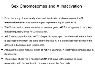 True hermaphroditism in humans differs from pseudohermaphroditism in which the
person has both X and Y chromosomes (not to...