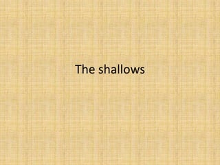 The shallows
 