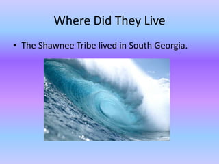 Where Did They Live
• The Shawnee Tribe lived in South Georgia.
 