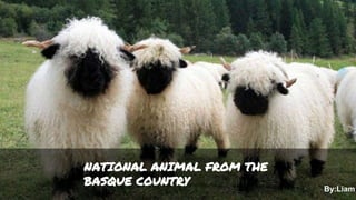 By:Liam
NATIONAL ANIMAL FROM THE
BASQUE COUNTRY
 