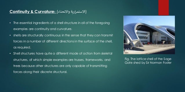 The shell structure system
