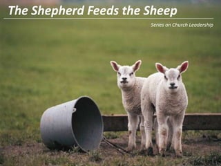 The Shepherd Feeds the Sheep Series on Church Leadership 