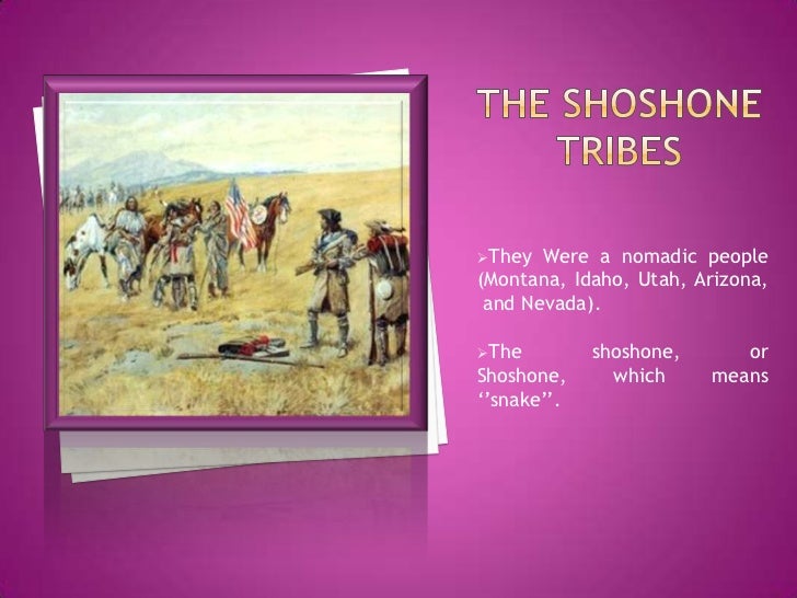 The Shoshone Tribes Katty