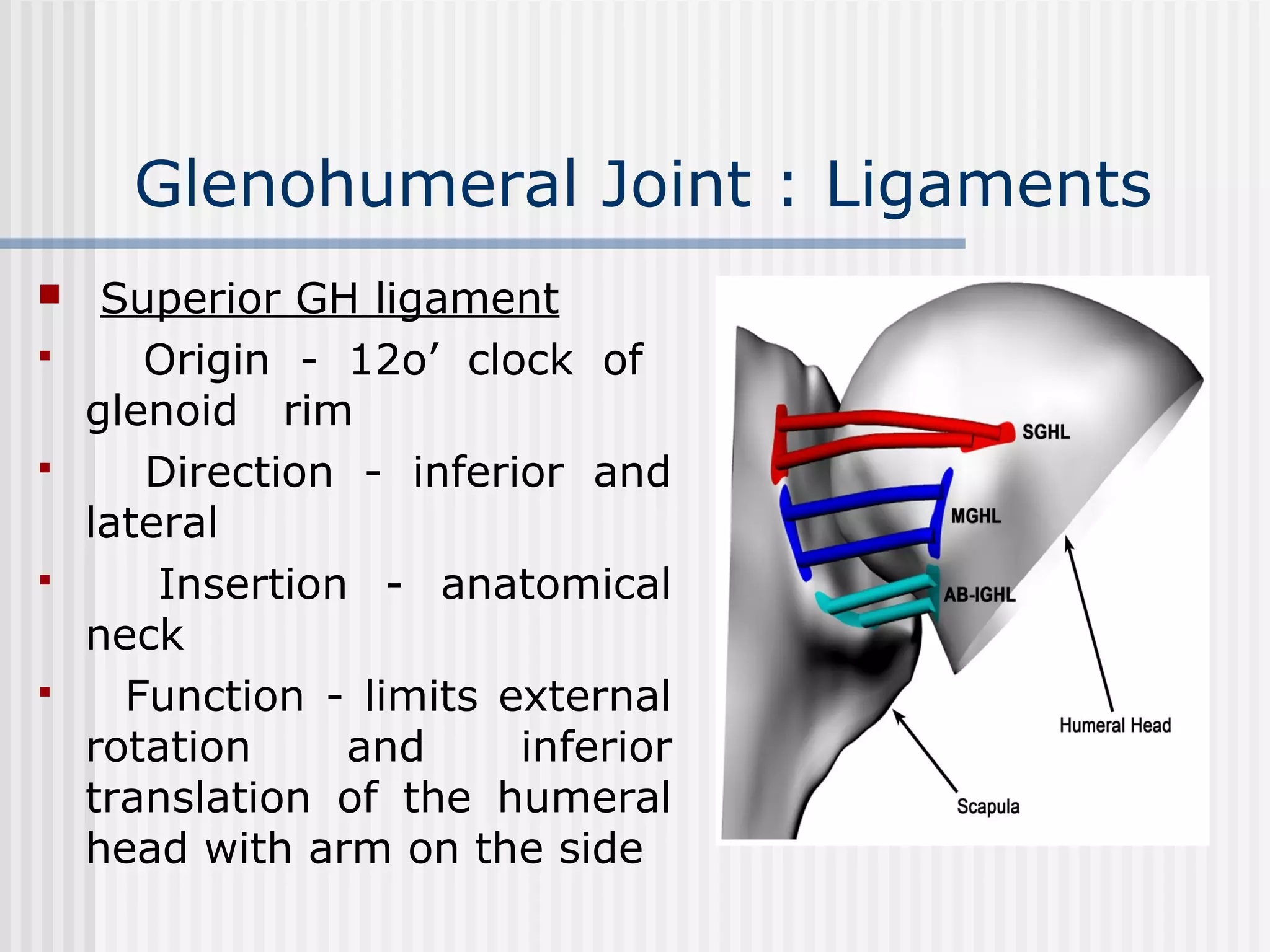 Examination of shoulder joint | PPT