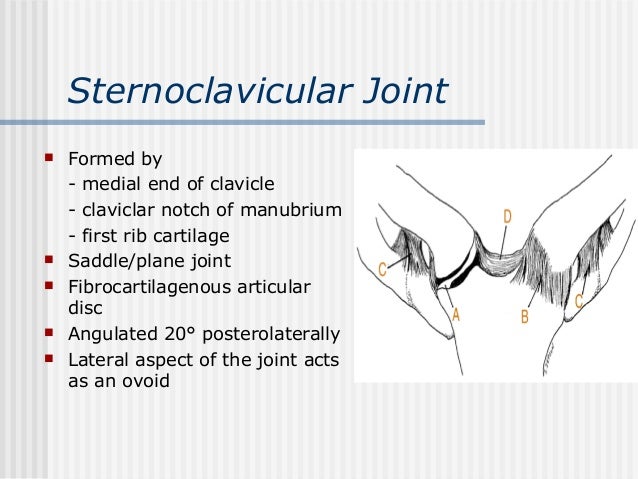 Examination of shoulder joint