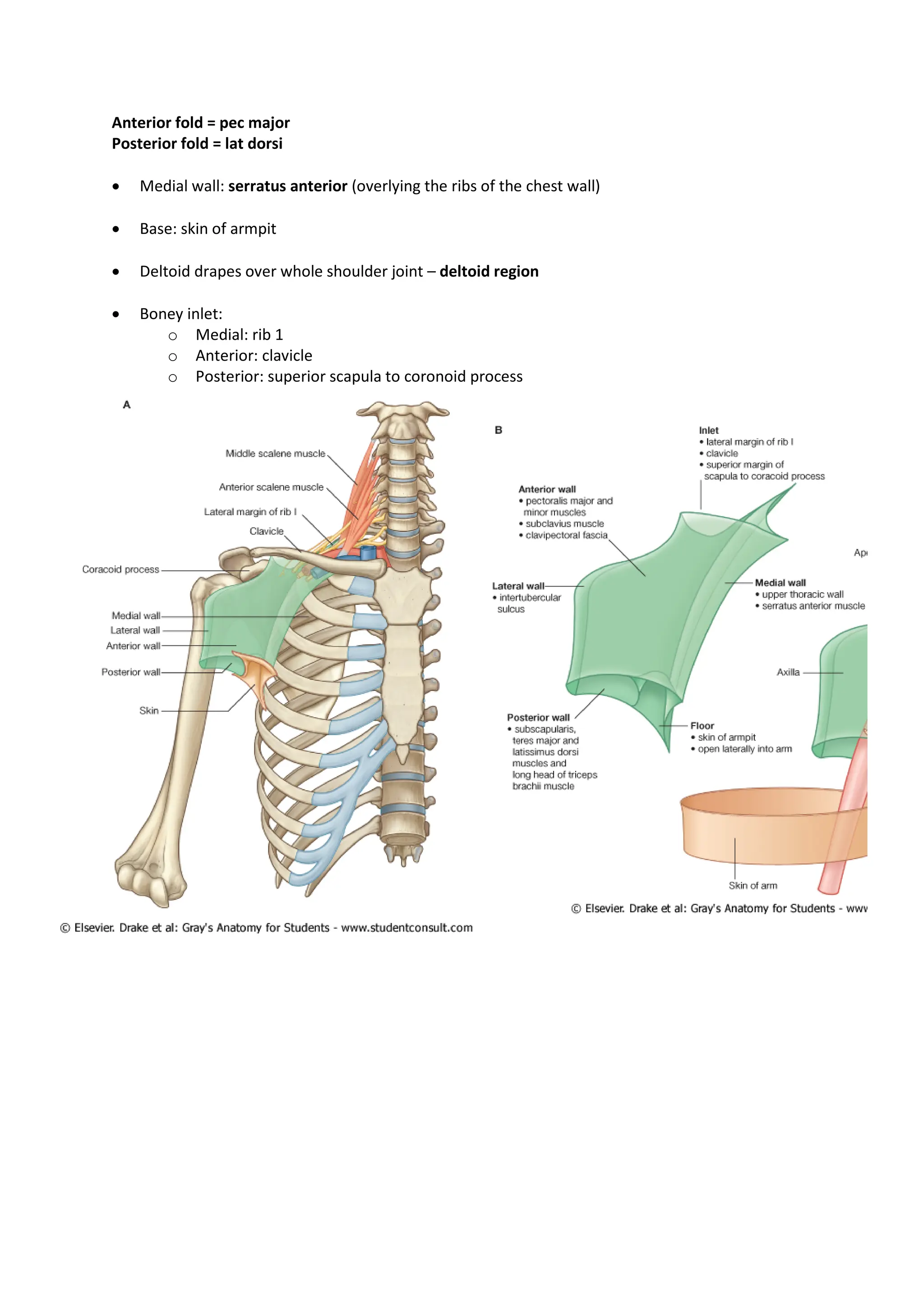 THE SHOULDER............................. | PDF