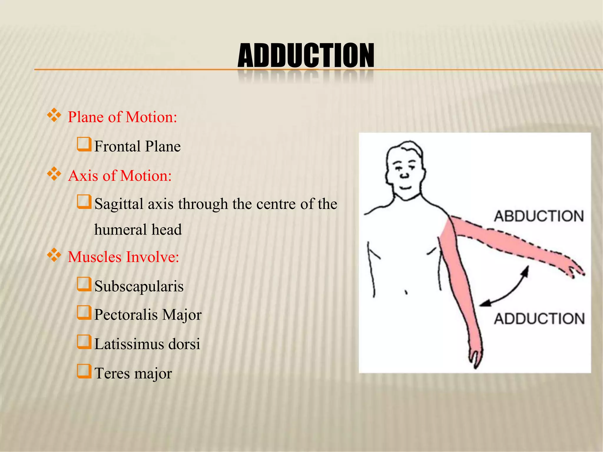 The Shoulder Anatomy.pptx