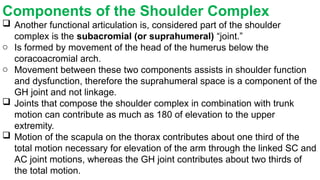 The Shoulder Complex Comprehensive Overview of the Shoulder Complex Anatomy and Function | PPTX