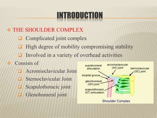 Shoulder Commplex Anatomy of the shoulder joint | PPTX