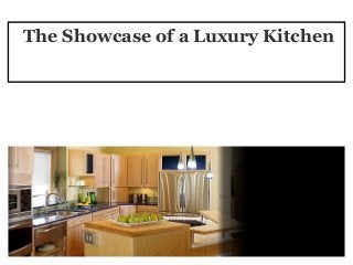The Showcase of a Luxury Kitchen
 
