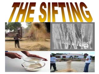 THE SIFTING 