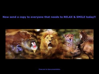 Now send a copy to everyone that needs to RELAX & SMILE today!!   Press esc to close presentation. 