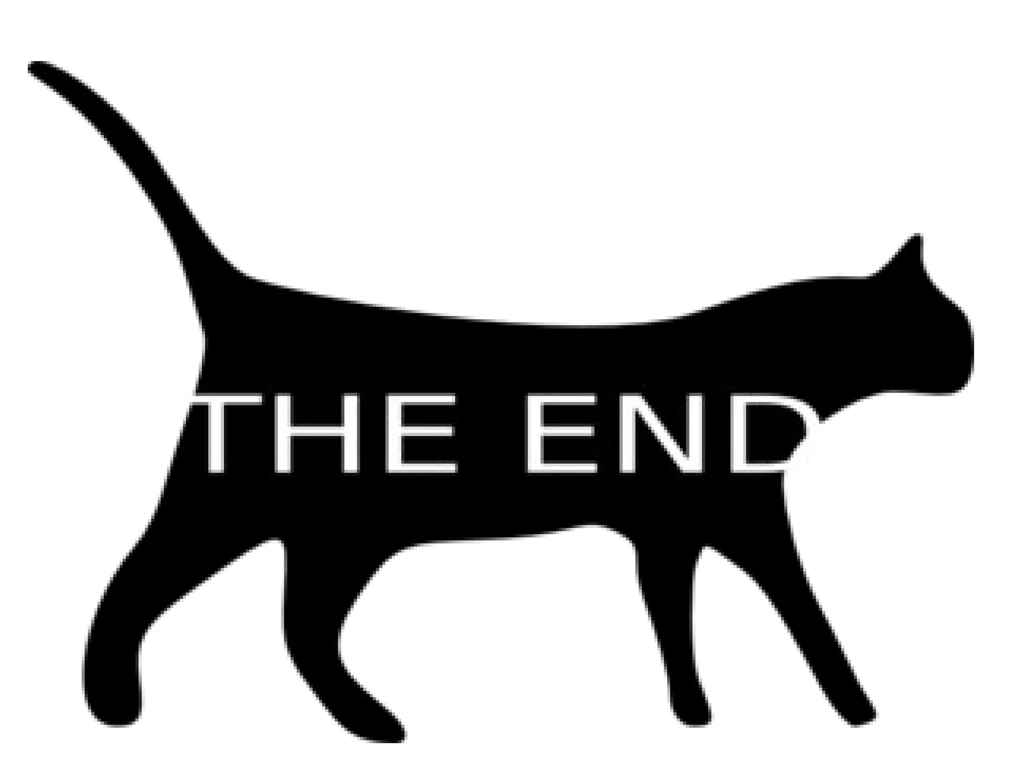 Students learning all about the simple passy.ppt