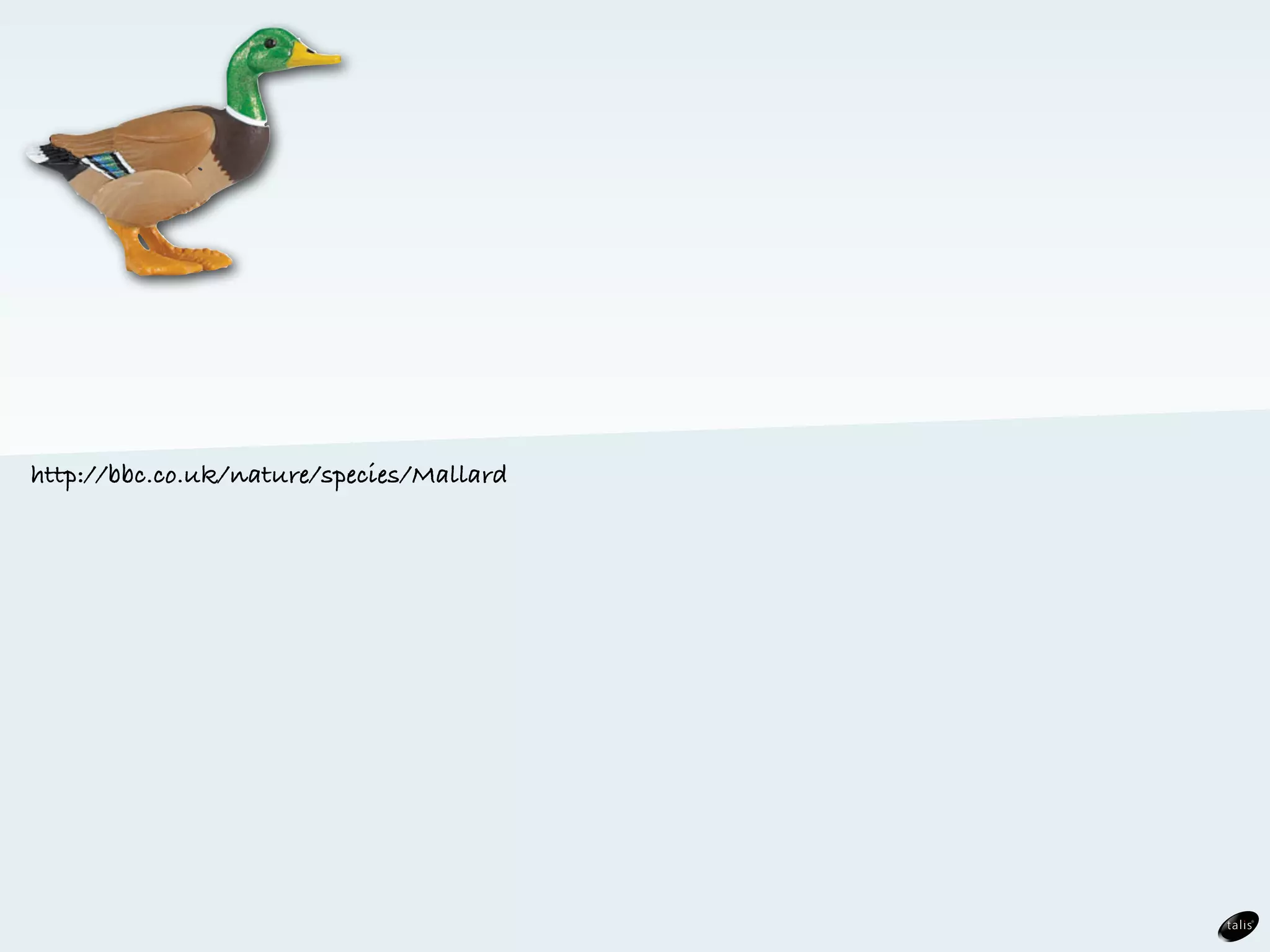 http://bbc.co.uk/nature/species/Mallard
 