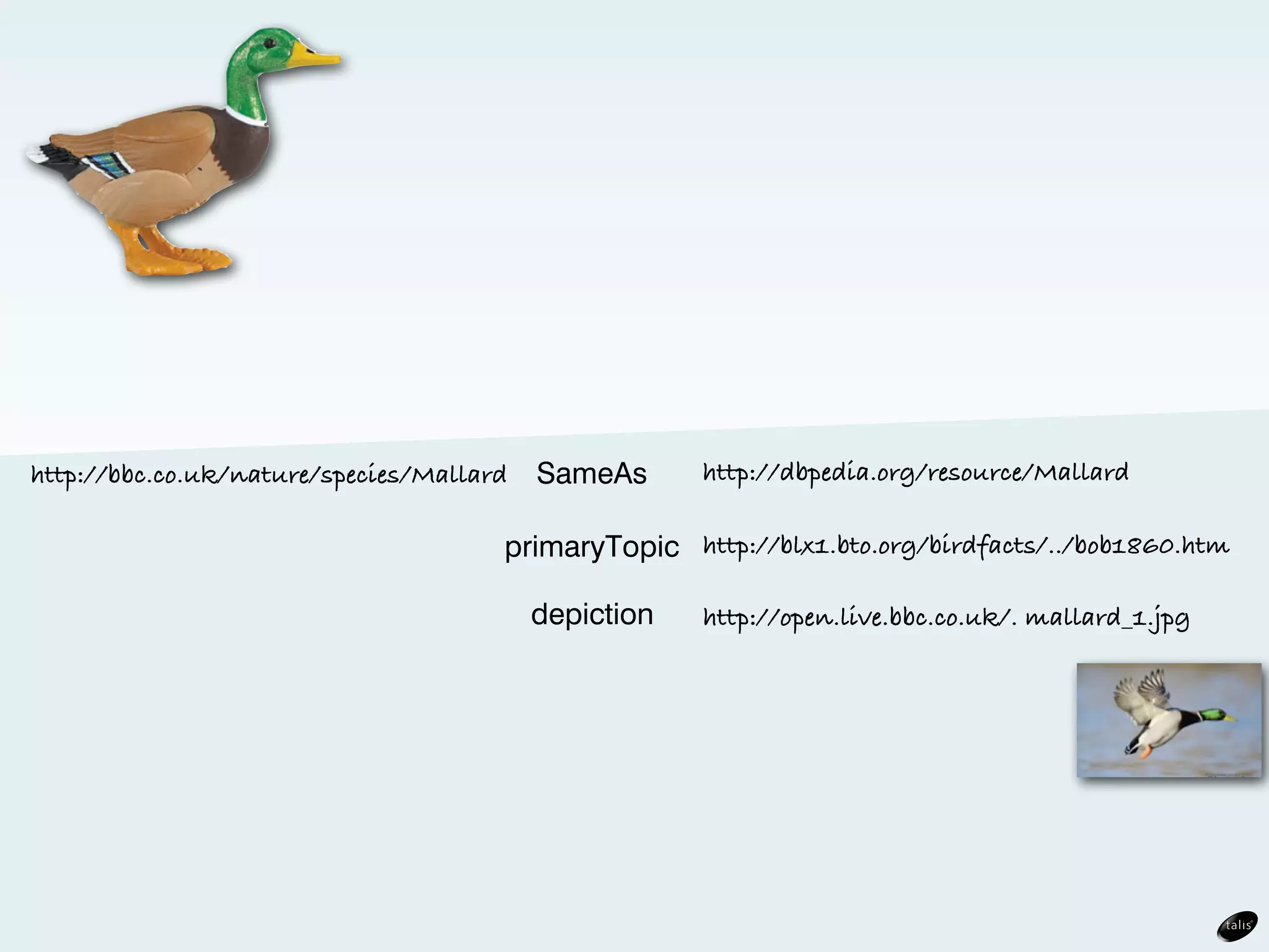 http://bbc.co.uk/nature/species/Mallard   SameAs      http://dbpedia.org/resource/Mallard

                                      primaryTopic http://blx1.bto.org/birdfacts/../bob1860.htm

                                          depiction   http://open.live.bbc.co.uk/. mallard_1.jpg
 