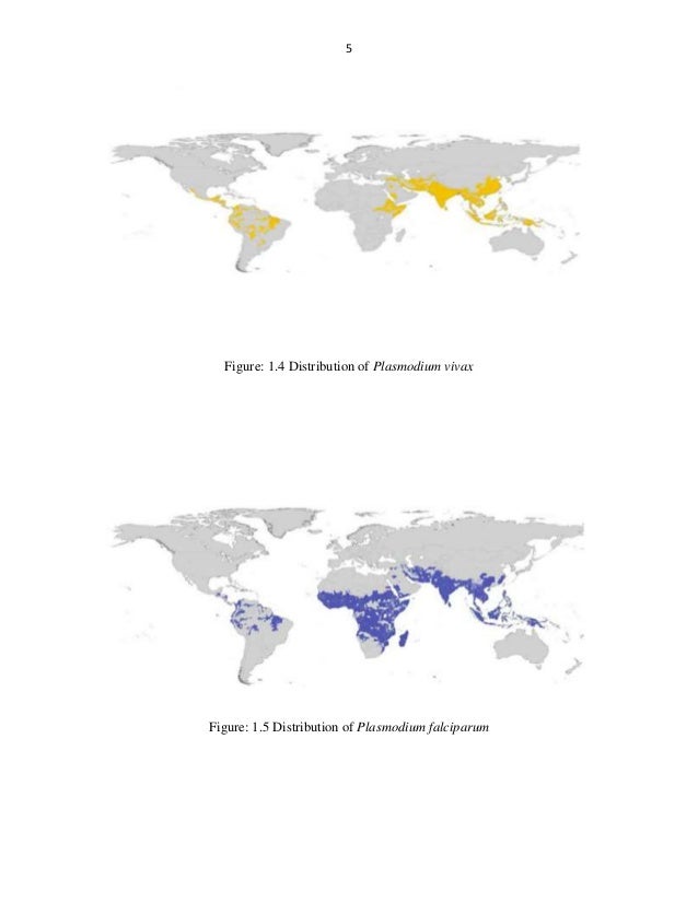 the united nations aids organization released disturbing pandemic estimates Were released today by the joint united nations programme on hiv/aids the epidemic estimates presented in this year's report reflect. the united nations aids organization released disturbing pandemic estimates Were released today by the joint united nations programme on hiv/aids the epidemic estimates presented in this year's report reflect.