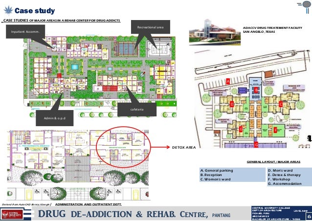 thesis drug rehab and detox 24 638