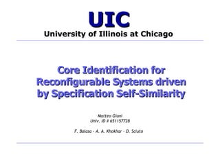 Core Identification for Reconfigurable Systems driven by Specification Self-Similarity Matteo Giani Univ. ID # 651157728 F. Balasa - A. A. Khokhar – D. Sciuto  