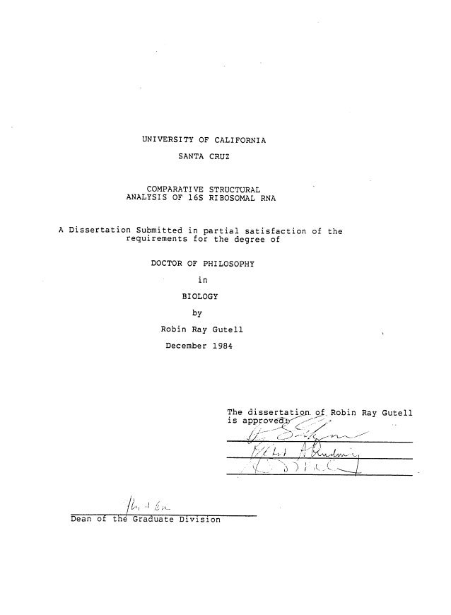 Comparative analysis master thesis
