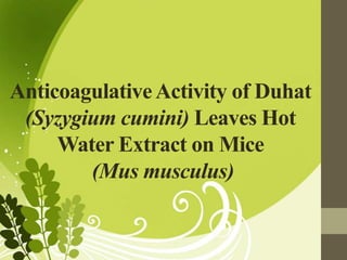 AnticoagulativeActivity of Duhat
(Syzygium cumini) Leaves Hot
Water Extract on Mice
(Mus musculus)
 