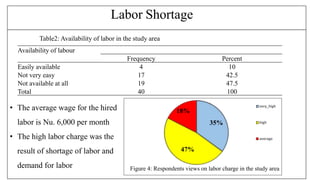 Labor Shortage
Availability of labour
Frequency Percent
Easily available 4 10
Not very easy 17 42.5
Not available at all 19 47.5
Total 40 100
35%
47%
18%
very_high
high
average
? The average wage for the hired
labor is Nu. 6,000 per month
? The high labor charge was the
result of shortage of labor and
demand for labor Figure 4: Respondents views on labor charge in the study area
Table2: Availability of labor in the study area
 