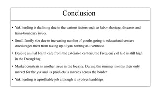 Conclusion
? Yak herding is declining due to the various factors such as labor shortage, diseases and
trans-boundary issues.
? Small family size due to increasing number of youths going to educational centers
discourages them from taking up of yak herding as livelihood
? Despite animal health care from the extension centers, the Frequency of Gid is still high
in the Dzongkhag
? Market constrain is another issue in the locality. During the summer months their only
market for the yak and its products is markets across the border
? Yak herding is a profitable job although it involves hardships
 