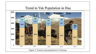 Trend in Yak Population in Haa
3227
3944
3514 3511
2872
1093
727
727 947
657
575
440
520
428
313
0
1000
2000
3000
4000
5000
6000
Bji Katsho Esu
4761
4886
3842
2011 20132012 20142010
Figure 2: Trend in yak population in 3 Gewogs
4895 5111
 