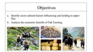 Objectives
a. Identify socio-cultural factors influencing yak herding in upper
Haa
b. Analyze the economic benefits of Yak Farming
 