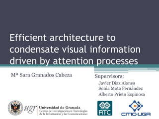 Efficient architecture to
condensate visual information
driven by attention processes
Mª Sara Granados Cabeza Supervisors:
Javier Díaz Alonso
Sonia Mota Fernández
Alberto Prieto Espinosa
 