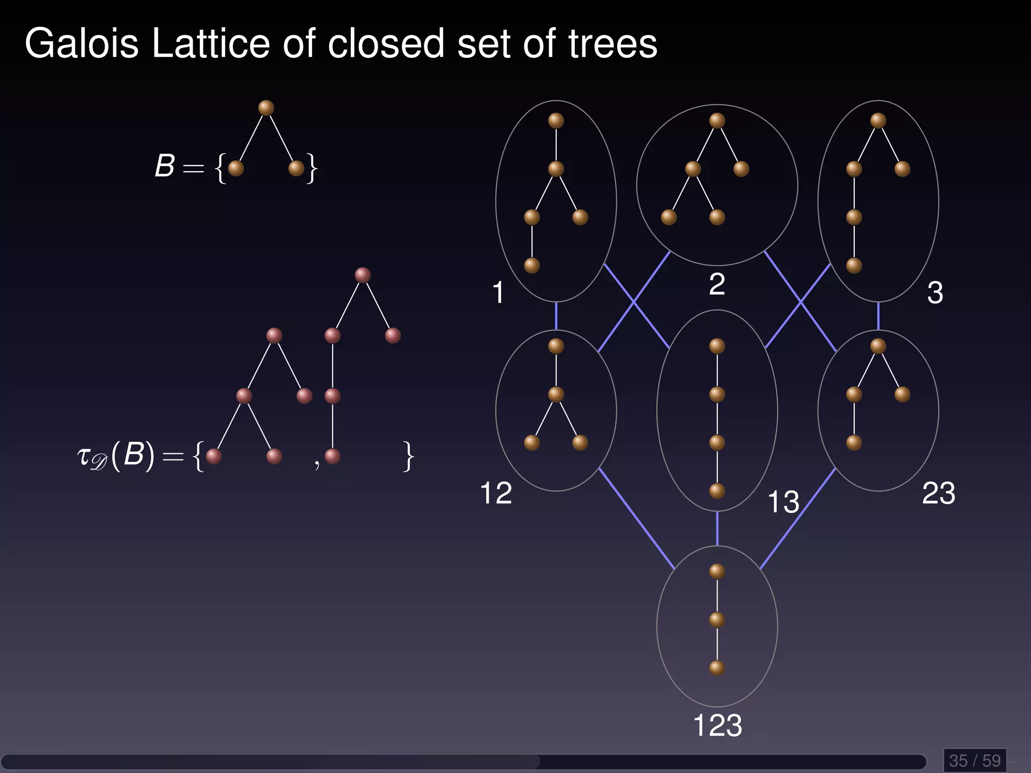 Galois Lattice of closed set of trees B={ } 1 2 3 τD (B) = { , } 12 13 23 123 35 / 59 