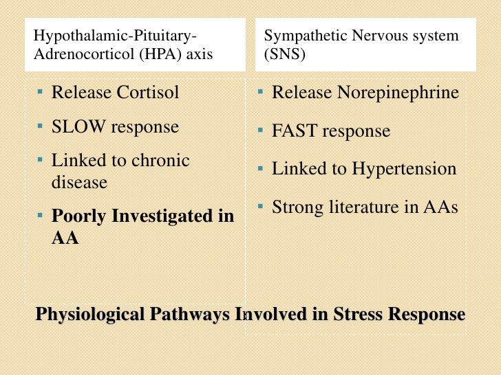 Umich neuroscience picture