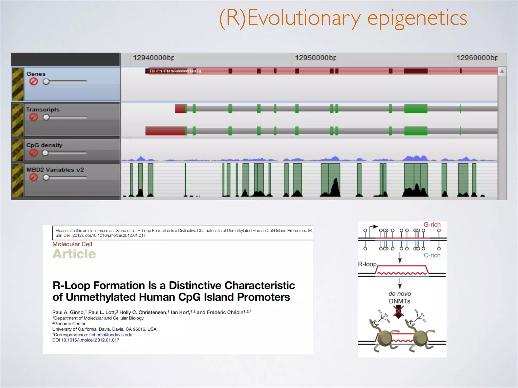 (R)Evolutionary epigenetics

 