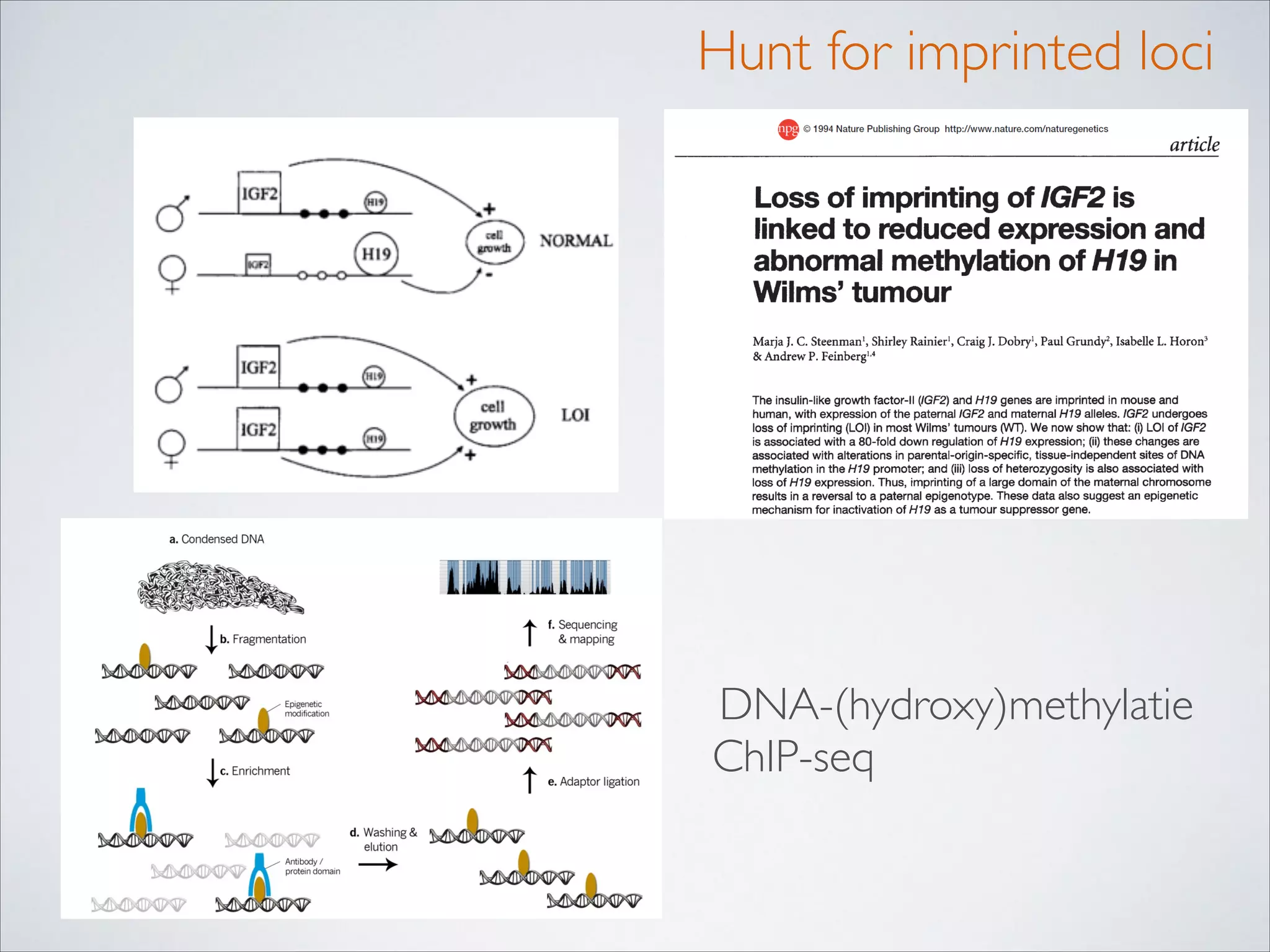 Hunt for imprinted loci

DNA-(hydroxy)methylatie	

ChIP-seq

 