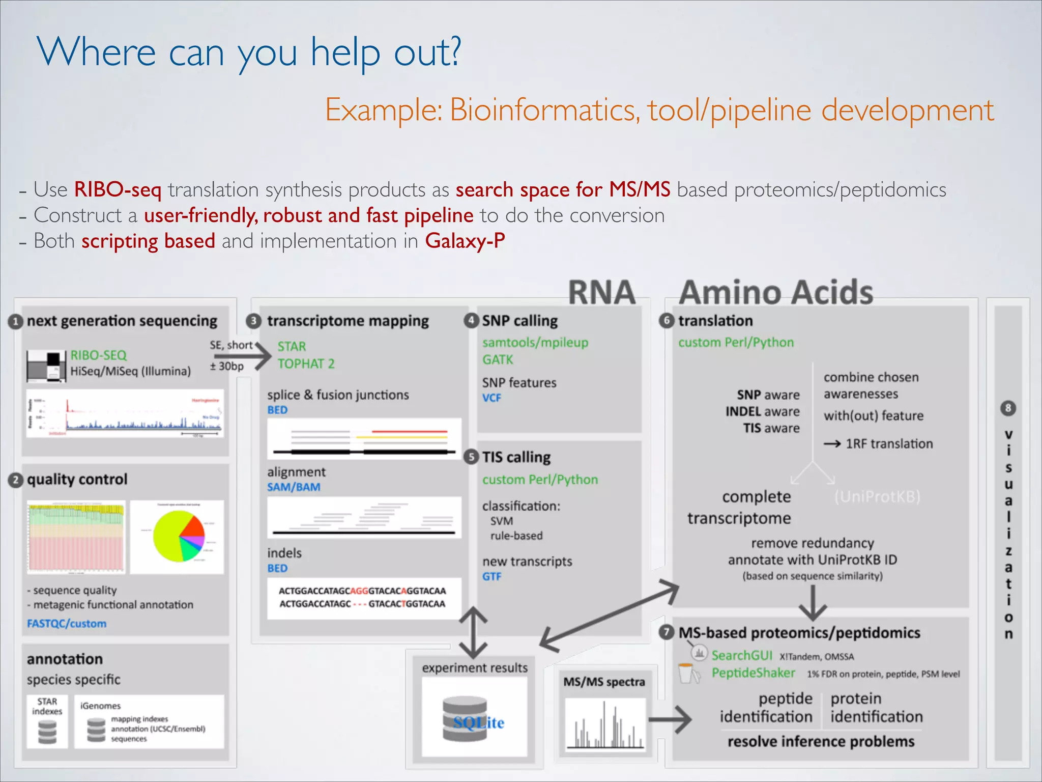 Where can you help out?
Example: Bioinformatics, tool/pipeline development
- Use RIBO-seq translation synthesis products as search space for MS/MS based proteomics/peptidomics	

- Construct a user-friendly, robust and fast pipeline to do the conversion	

- Both scripting based and implementation in Galaxy-P

 