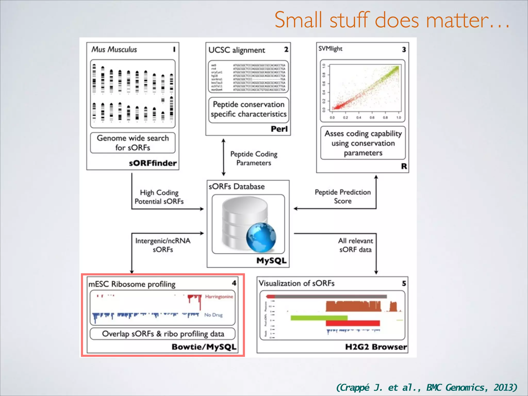 Small stuff does matter…

(Crappé J. et al., BMC Genomics, 2013)

 